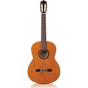 GUITARRA ACUSTICA CORDOBA C7 CD