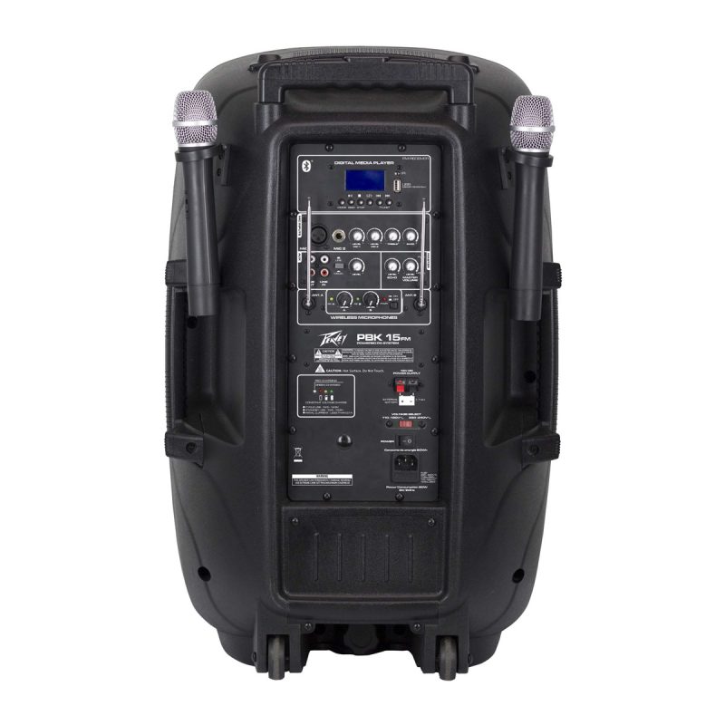 CABINA PEAVEY BLUETOOH DE 15" REF PBK15 - Image 3