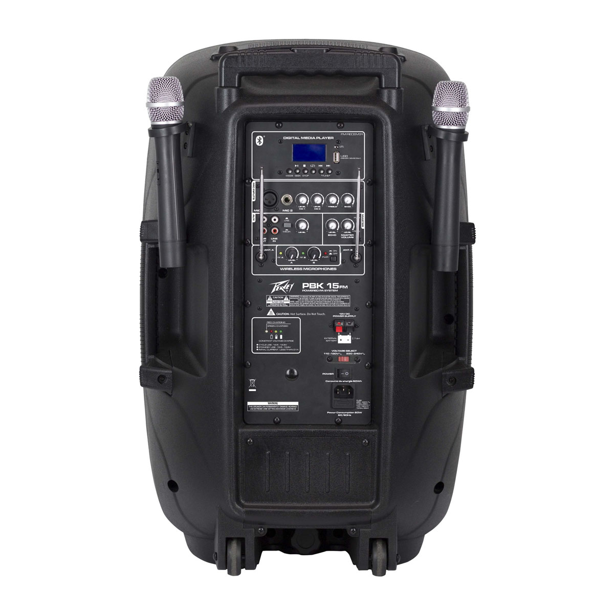 CABINA PEAVEY BLUETOOH DE 15" REF PBK15 - Image 3