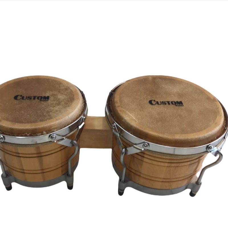 Bongo Custom