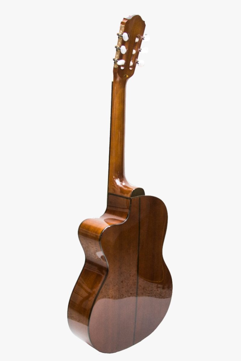 Guitarra Electroacustica Persian Ref: AC309CE Brown - Image 2
