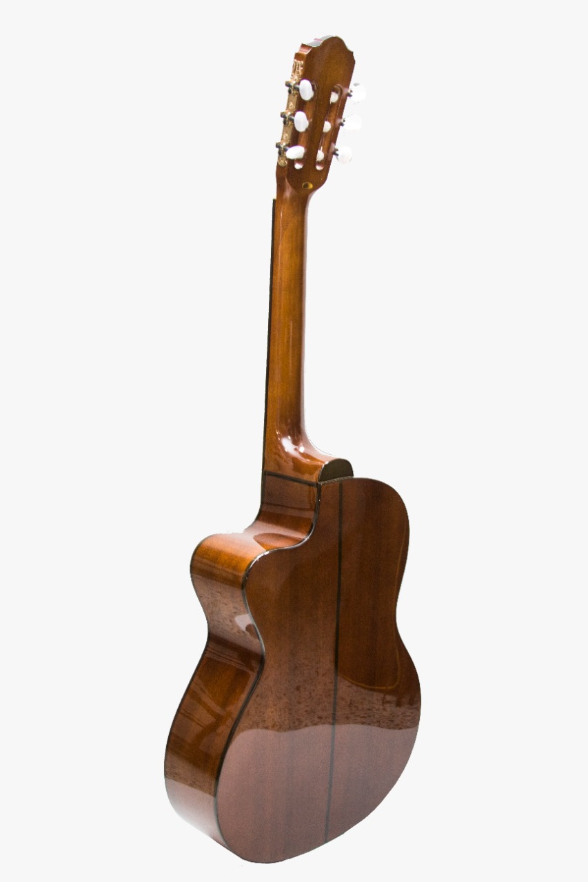 Guitarra Electroacustica Persian Ref: AC309CE Brown - Image 2