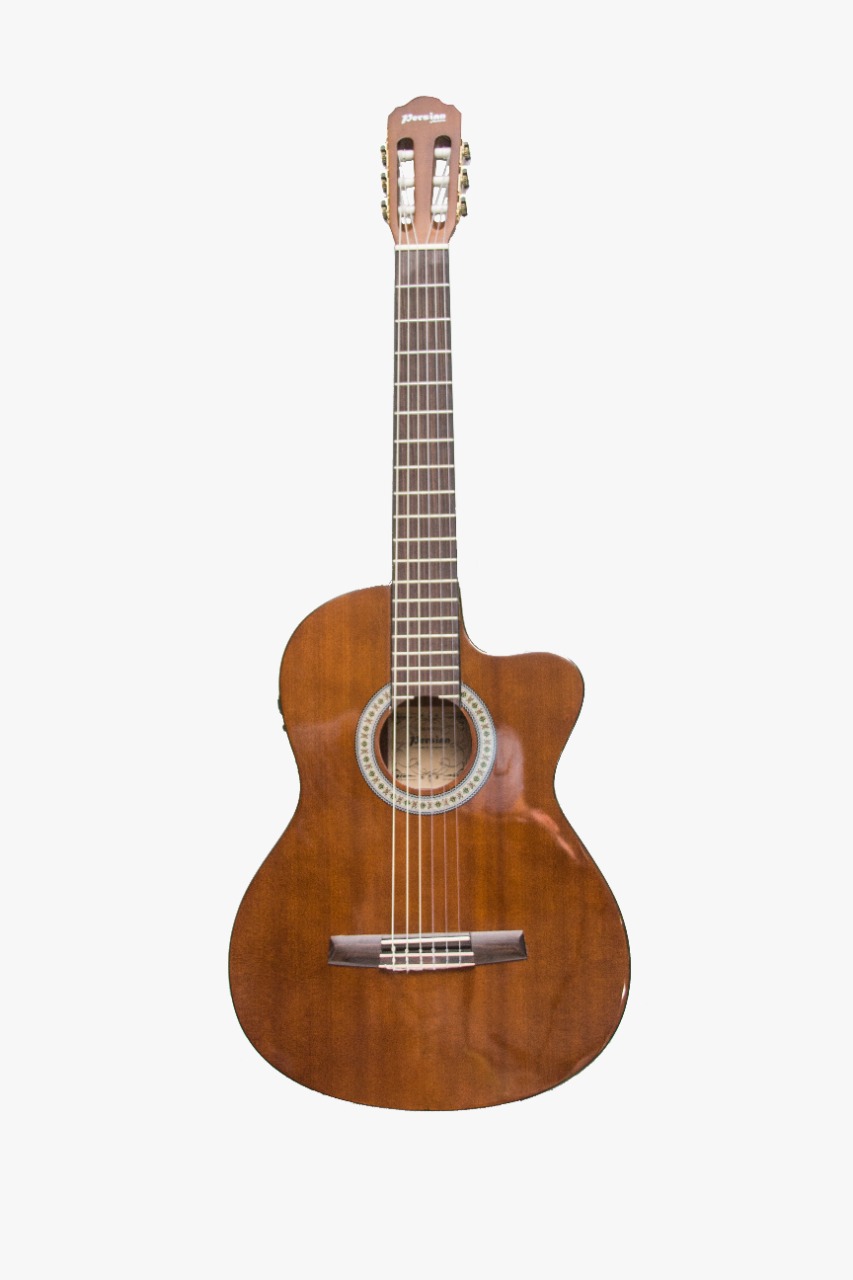 Guitarra Electroacustica Persian Ref: AC309CE Brown