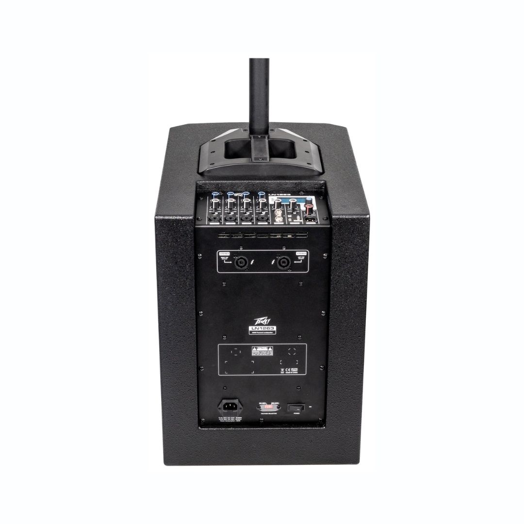 Cabina Peavey Column Array LN1263 - Image 2